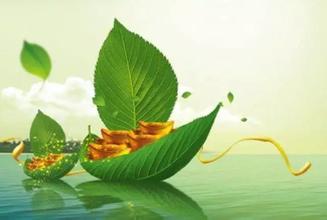 2017国家针对生物质颗粒机专项政策