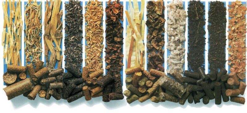 影响生物质燃料颗粒设备出料口因素？