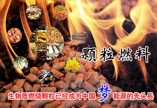 生物质燃料颗粒多少钱一吨！