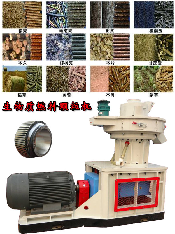 国内外生物质燃料颗粒机应用现状的疑问！